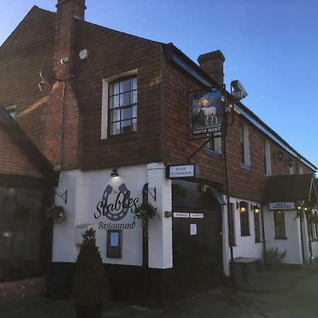 The White Hart Pub And Rooms Cranleigh Bilik gambar